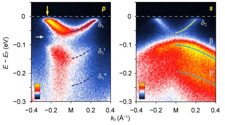 Electron-phonon interaction and superconductivity mechanism behind FeSe uncovered